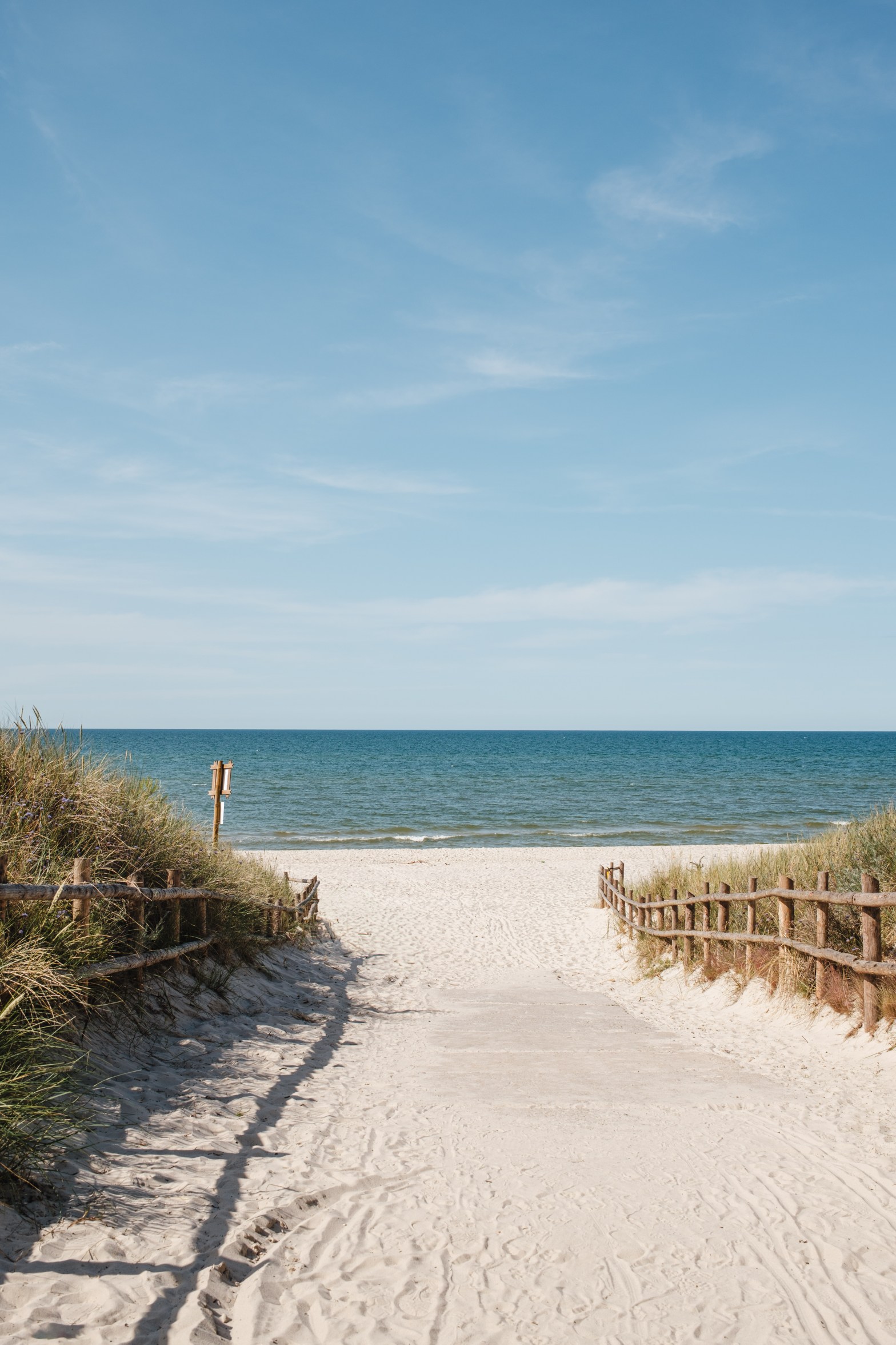 Biohacking for Mothers: Natural Wellness Tools That Bring You&nbsp;Results